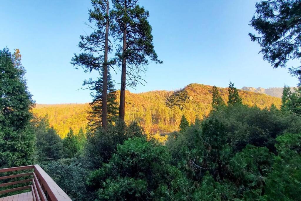 Redwood Retreat, Mountains, Adventure And Nature Ponderosa Ngoại thất bức ảnh