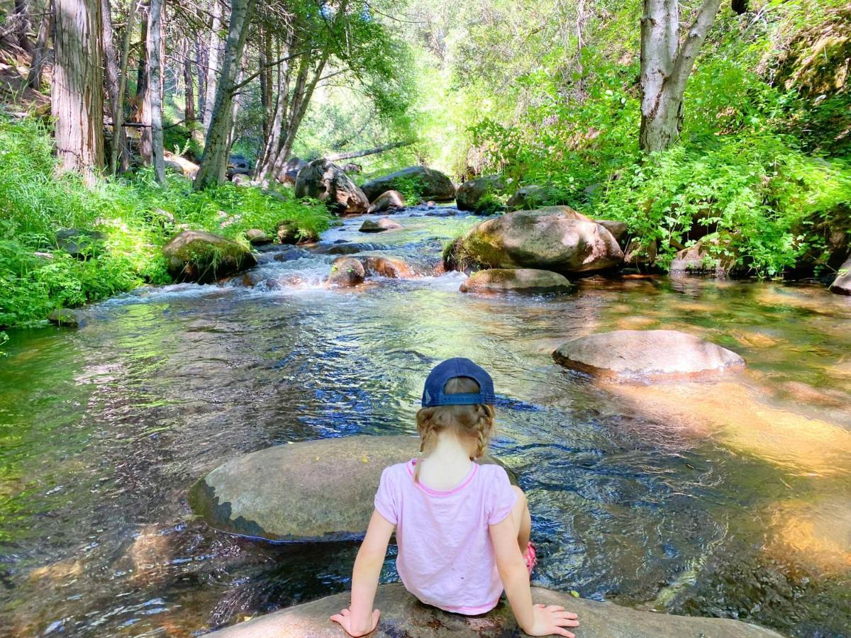 Redwood Retreat, Mountains, Adventure And Nature Ponderosa Ngoại thất bức ảnh