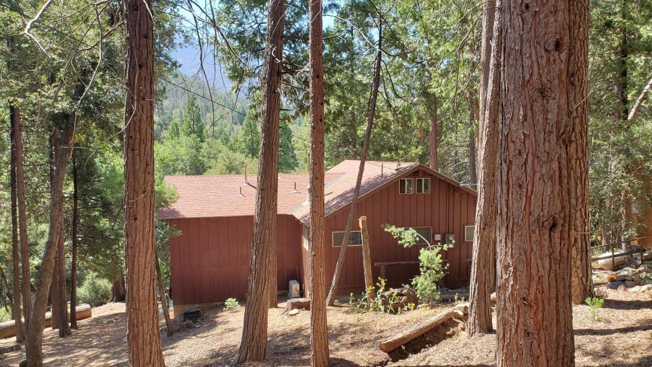 Redwood Retreat, Mountains, Adventure And Nature Ponderosa Ngoại thất bức ảnh