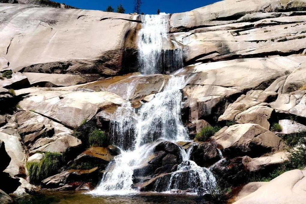 Redwood Retreat, Mountains, Adventure And Nature Ponderosa Ngoại thất bức ảnh