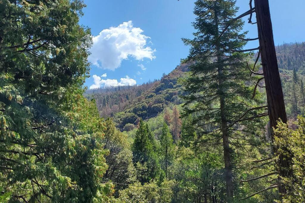 Redwood Retreat, Mountains, Adventure And Nature Ponderosa Ngoại thất bức ảnh