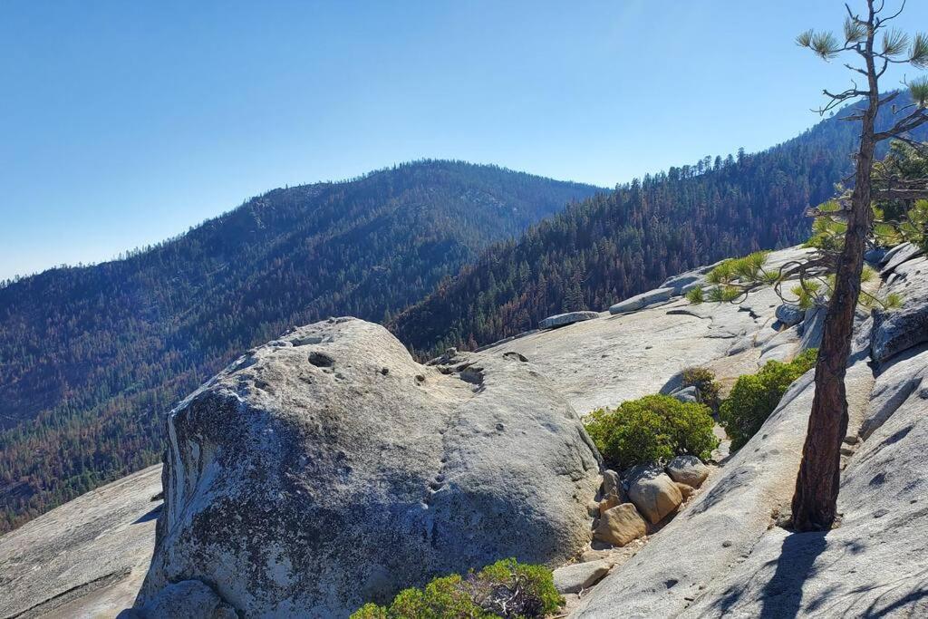 Redwood Retreat, Mountains, Adventure And Nature Ponderosa Ngoại thất bức ảnh