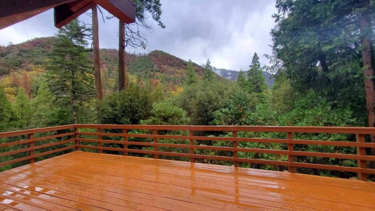 Redwood Retreat, Mountains, Adventure And Nature Ponderosa Ngoại thất bức ảnh