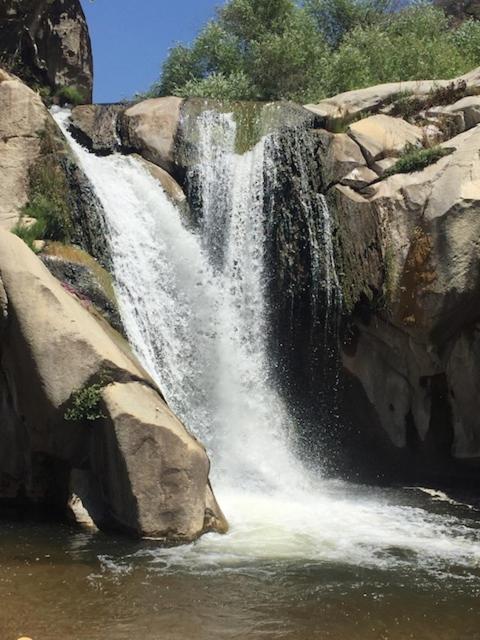 Redwood Retreat, Mountains, Adventure And Nature Ponderosa Ngoại thất bức ảnh