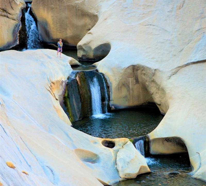 Redwood Retreat, Mountains, Adventure And Nature Ponderosa Ngoại thất bức ảnh