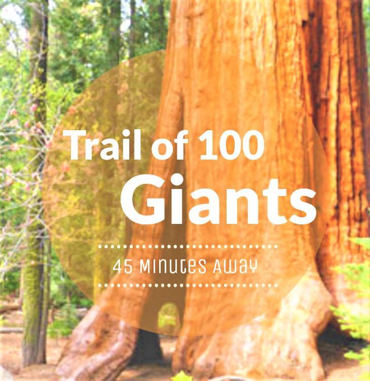 Redwood Retreat, Mountains, Adventure And Nature Ponderosa Ngoại thất bức ảnh